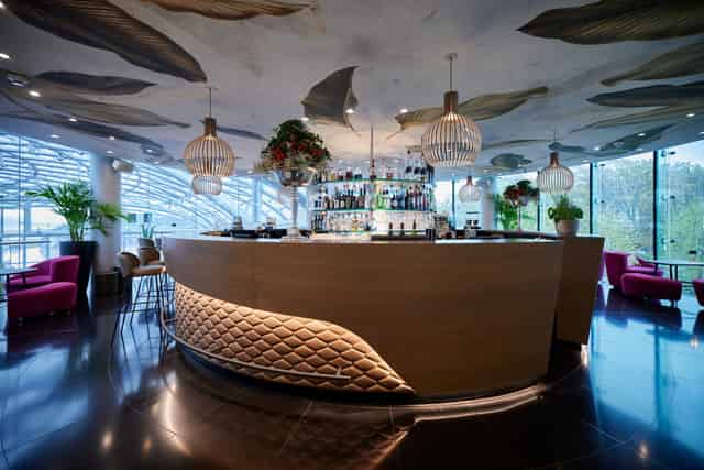 Mayday Bar terrace