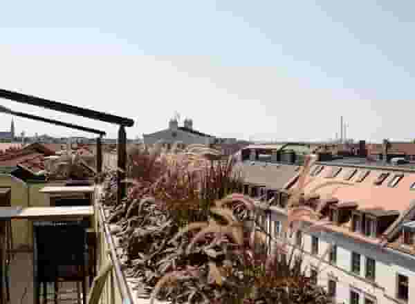 Rooftop terrace