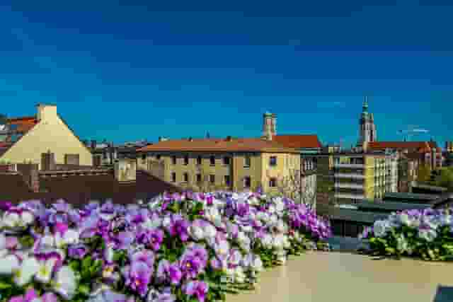 Rooftop terrace