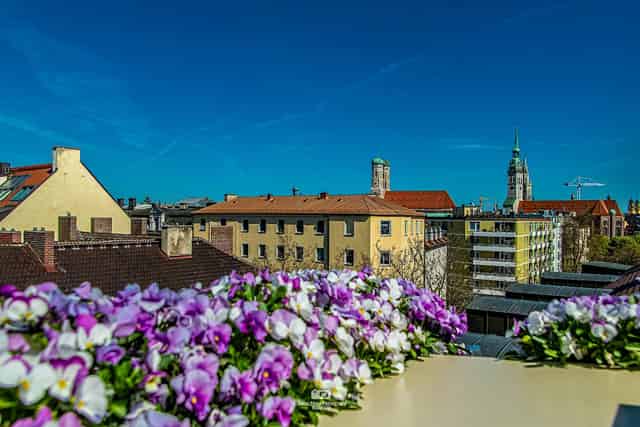 Rooftop terrace
