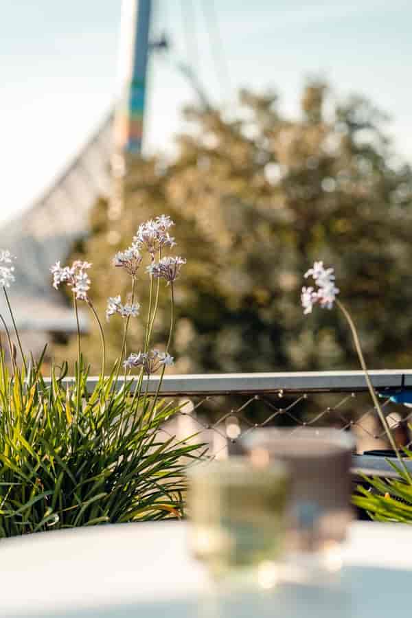 DECK21 outdoor cocktail wedding reception venue serene garden