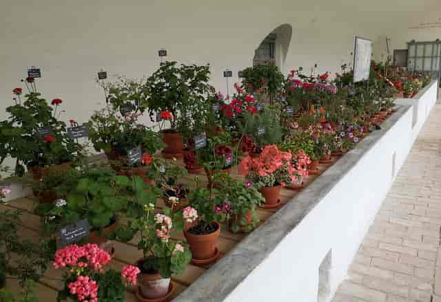 Geranium House Nymphenburg Palace garden reception