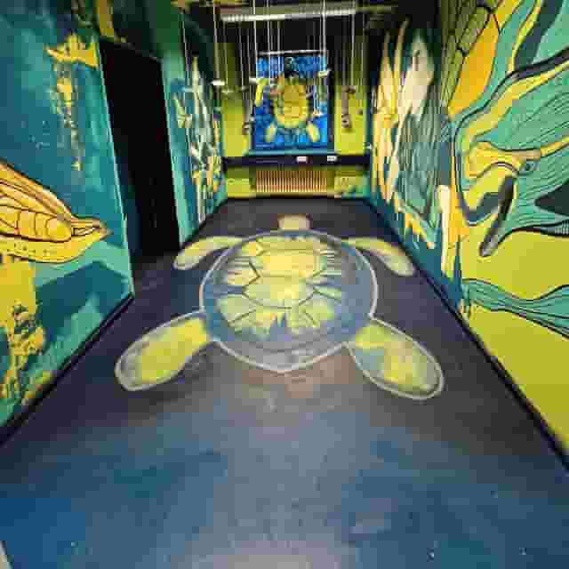 Pop-Up Gallery