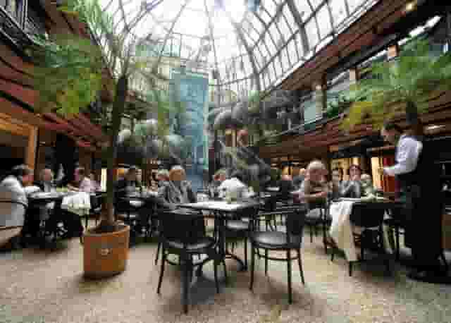Cafe