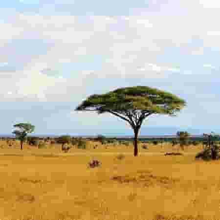 Afrika-Anlage