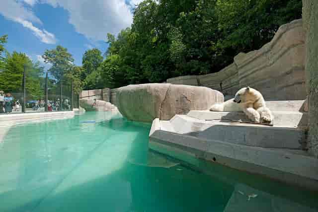 Polar World venue, Hellabrunn Tierpark: natural light event space for corporate and unique weddings.