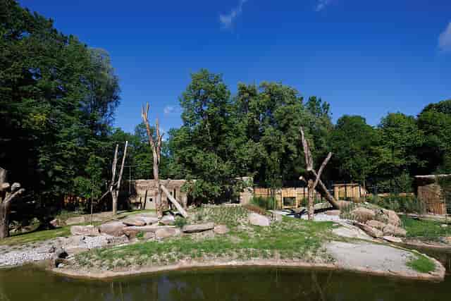 Jungle Pavilion Tierpark Hellabrunn: naturalistic corporate retreat venue for team building.