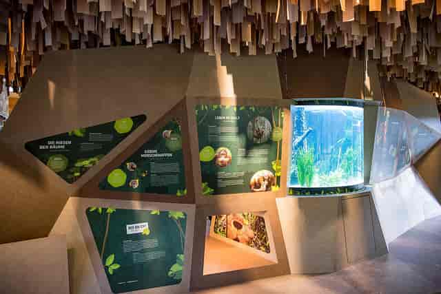 Jungle Pavilion modular installation for immersive trade show and museum event activations.