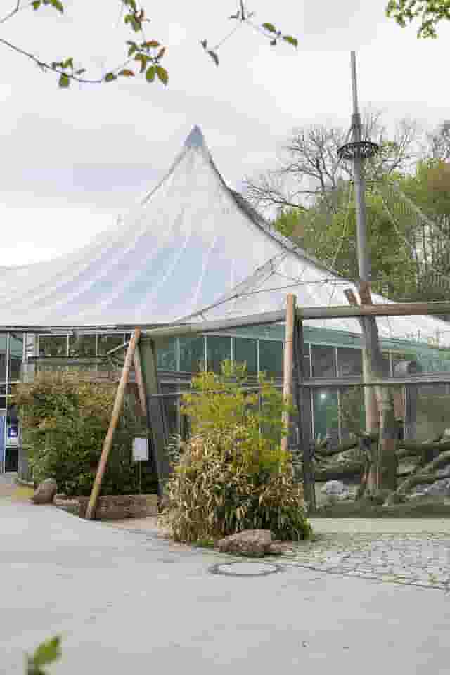 Jungle Pavilion