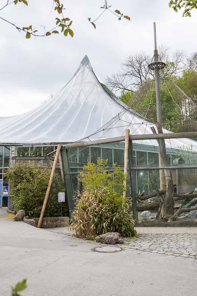 Jungle Pavilion