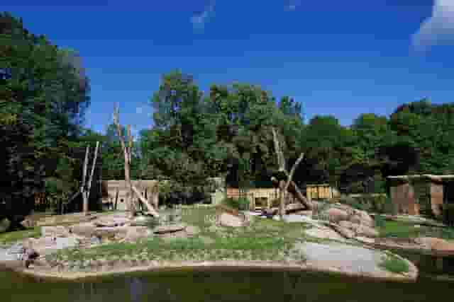 Africa zone
