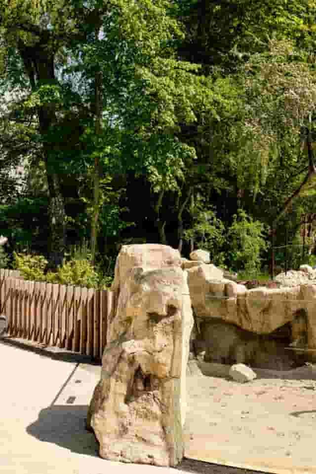 Africa zone