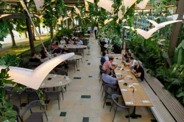 Biophilic restaurant venue with communal tables for corporate networking and breakout sessions.