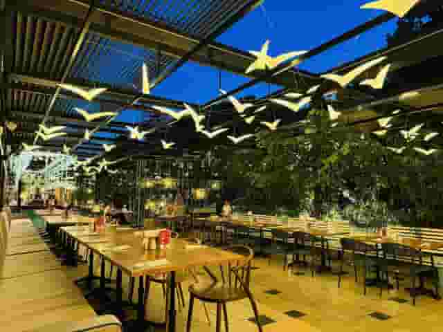 Terrace