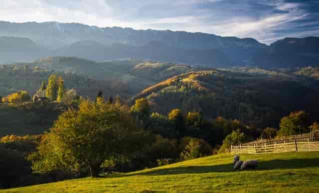 Yoga studio with mountain view for corporate wellness retreats and executive offsites.