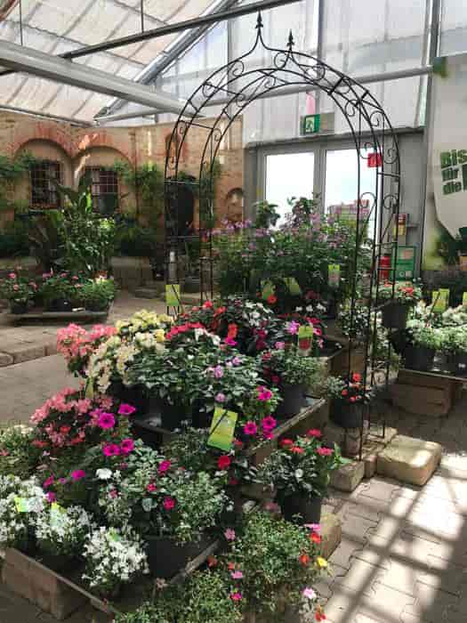 Dehner Garden Center indoor space with lush plants for botanical events and venue rental.