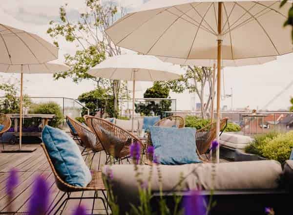 Roofgarden