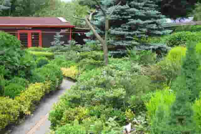 Garden Level