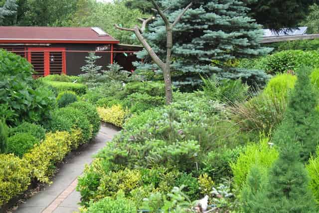 Garden Level