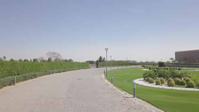 Outdoor Area