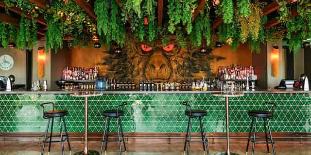Monkey Bar