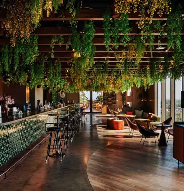 Monkey Bar