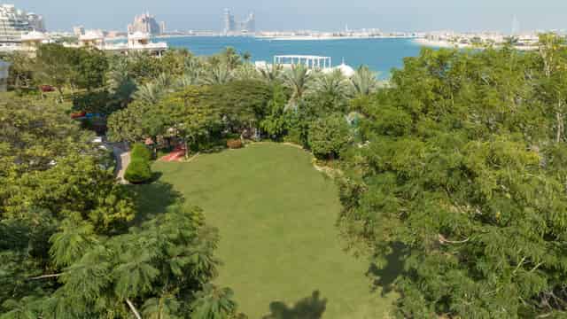 Beachfront Lawn