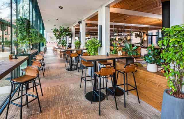Modern event space at Hotel Arena Amsterdam with natural light & greenery for networking.