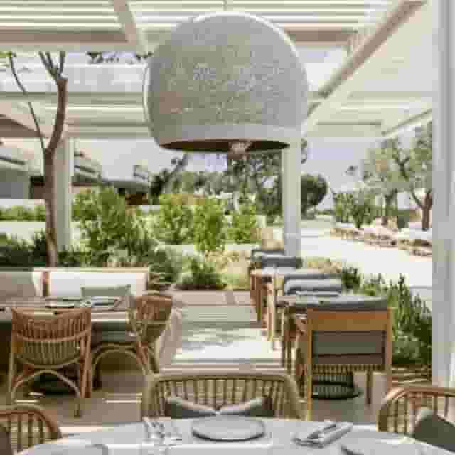 Restaurants