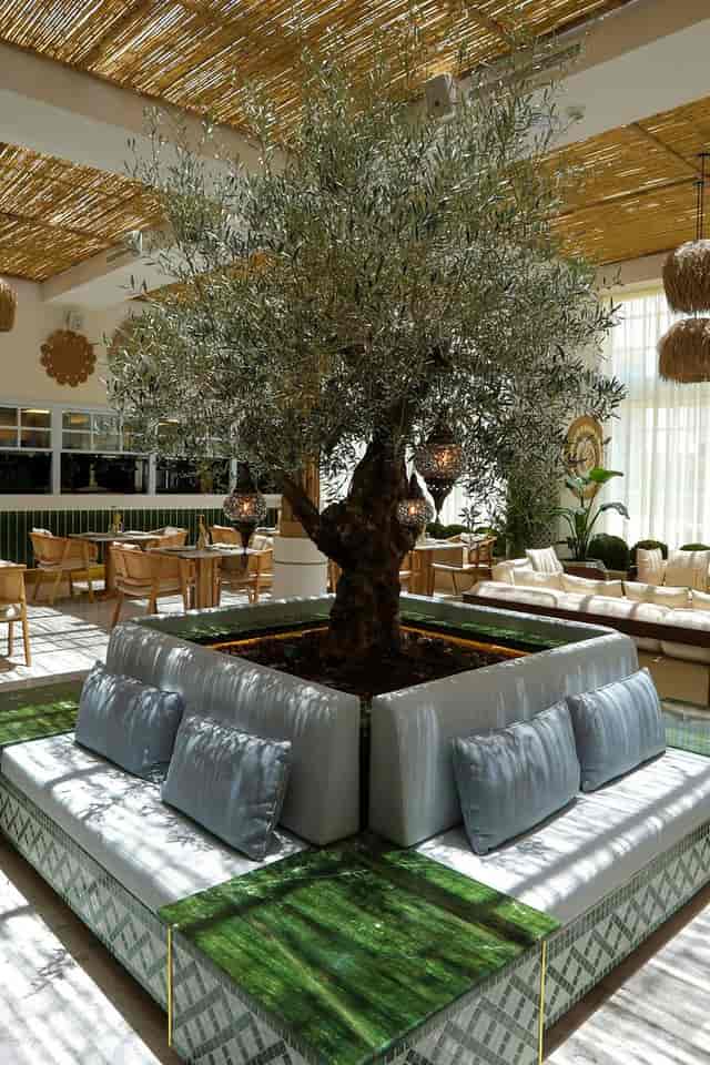 Courtyard Riyadh Olaya dining area with olive tree, ideal for networking and cocktail events.