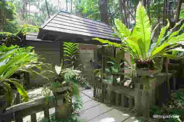 Outdoor Areas
