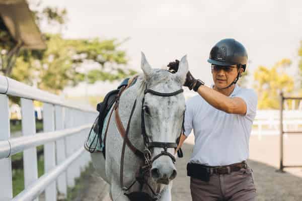 Equestrian arena
