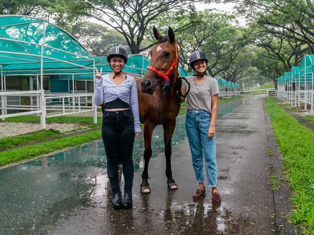 Equestrian arena