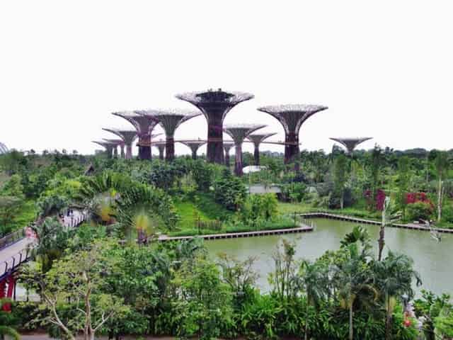 Garden Walk 3