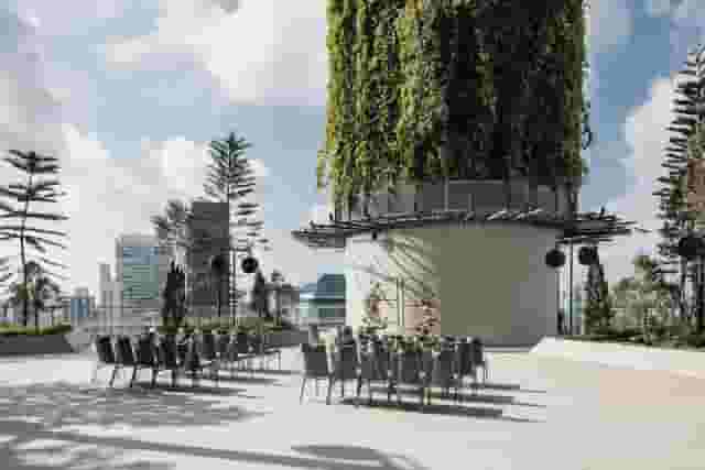 Cloud Terrace Lawn