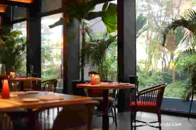 Café Quenino