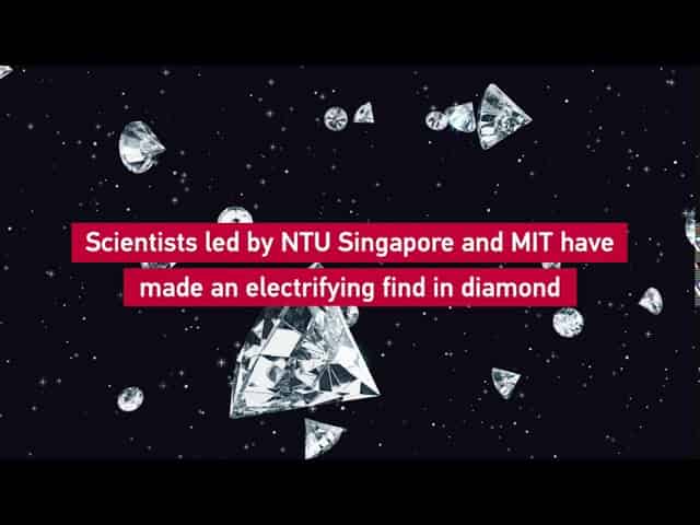 MIT Universe