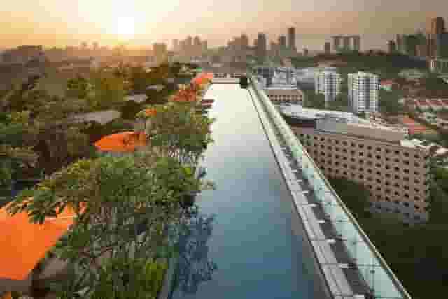Rooftop Infinity Pool