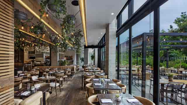 1 Hotel Brooklyn Bridge restaurant with biophilic design for upscale corporate networking events.