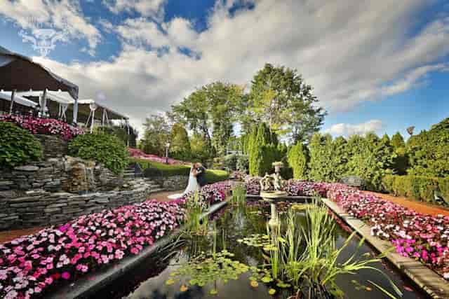 Outdoor wedding garden at The Park Savoy Estate with tiered landscaping and formal water feature.