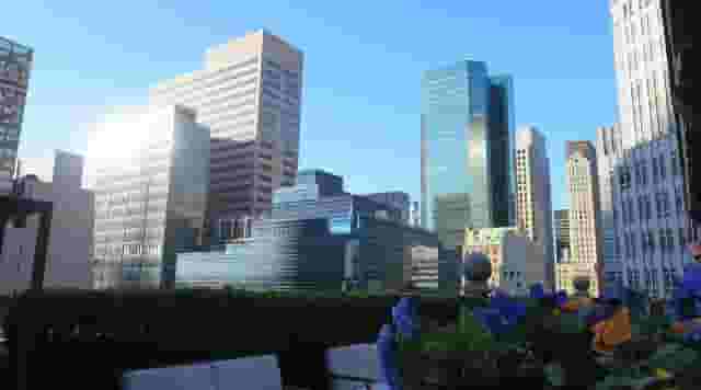 rooftop lounge