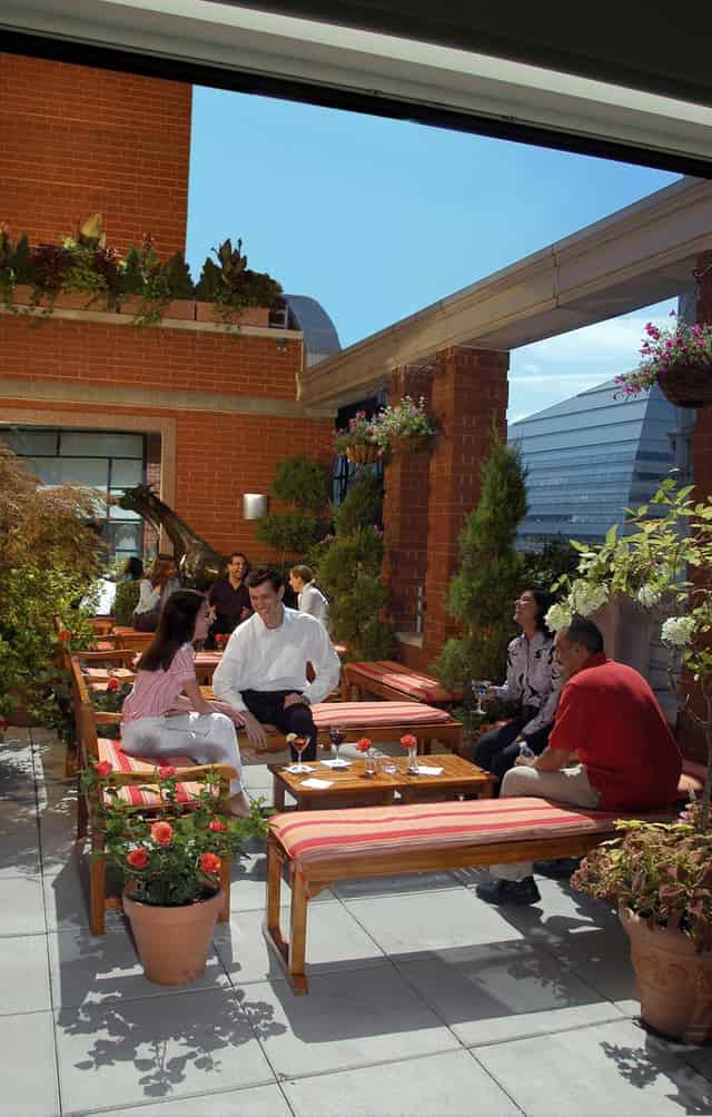 Rooftop Garden