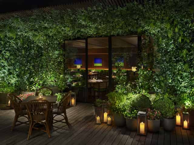 Garden Terrace