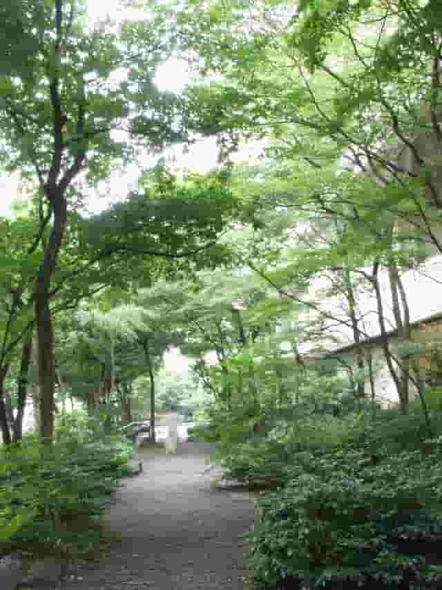 Natsume