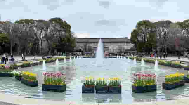 Museum Grounds