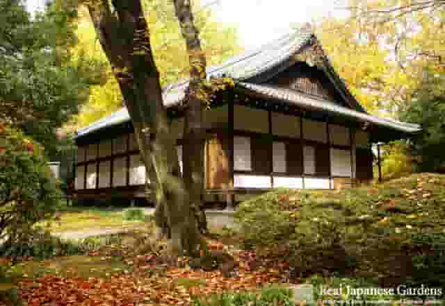 Museum Grounds