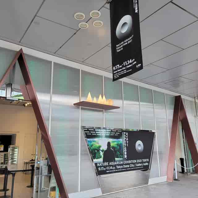 Gallery AaMo (????????) on X ...