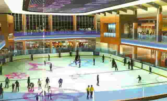 BX Rink