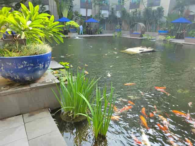 Accor Hotels - >CT Ho</a>