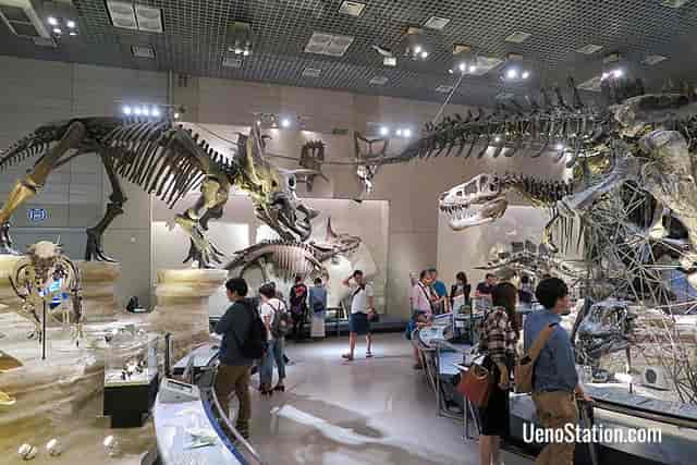 Global Gallery fossil venue for corporate receptions and themed networking events.